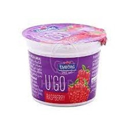 Picture of EMBORG UGO MIXED FLAVOUR DESSERTS 100GR